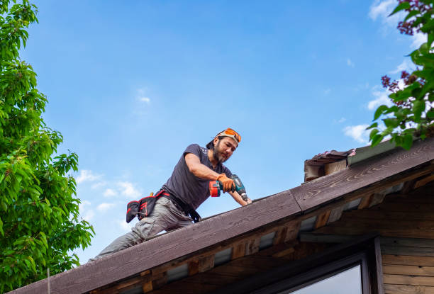 Best Roof Insulation Installation  in Excelsior, MN